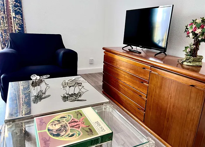 Garay Apartments Benidorm admite animales