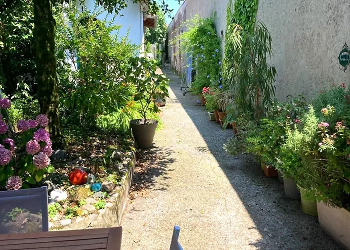 Appartement Le grand Houx à Orthez