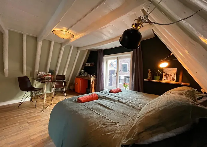 Huisdiervriedelijke Attic Monkeys Lodge Amsterdam
