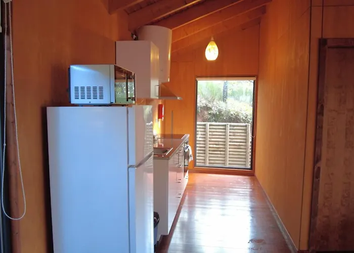 Bungalow Sobre Águas Camping Bragança aceita animais de estimação