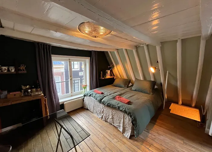 Huisdiervriedelijke Attic Monkeys Lodge Amsterdam