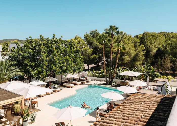 Hotel Boutique & Spa Las Mimosas Ibiza (Adults Only) San Antonio 