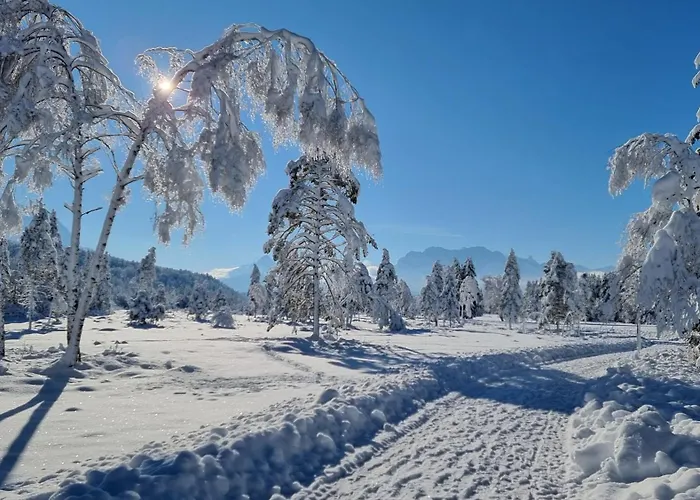 Alpenchalet St.Ulrich Krün