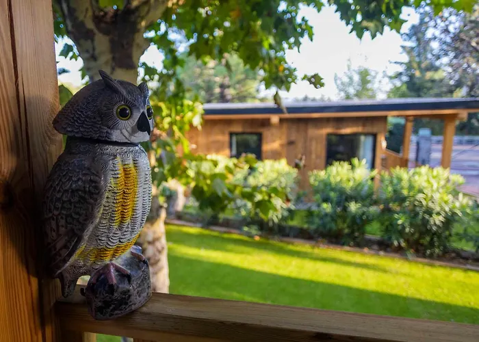 Becerril de la Sierra Tree House Hotel