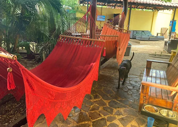 Tamarindo Backpackers Hostel