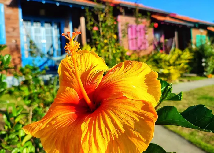 Prana Guest House Praia do Rosa