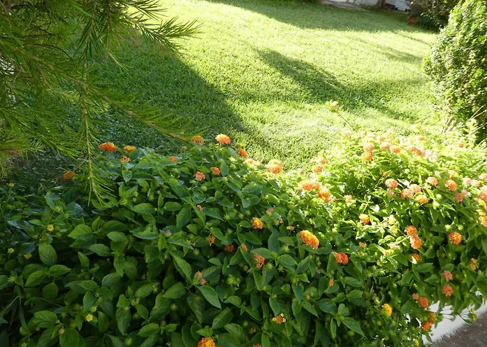 Boutique B&B Oliena