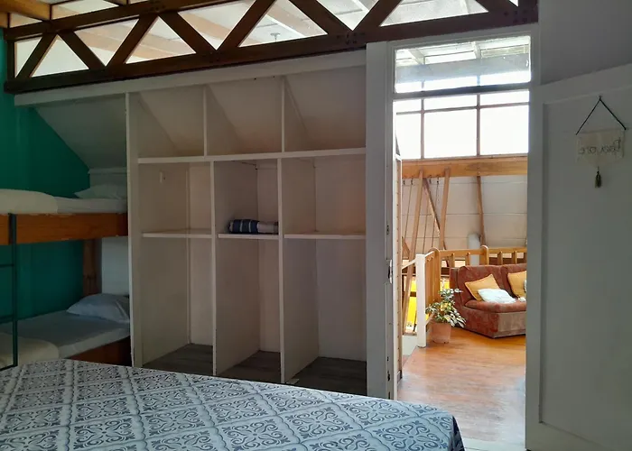 Pet friendly Gaudy'S Hostel San Jose 