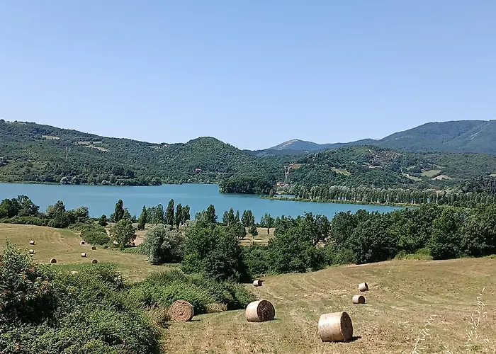 B&B Staziona e Dormi 2,0 Camigliatello Silano che accetta animali