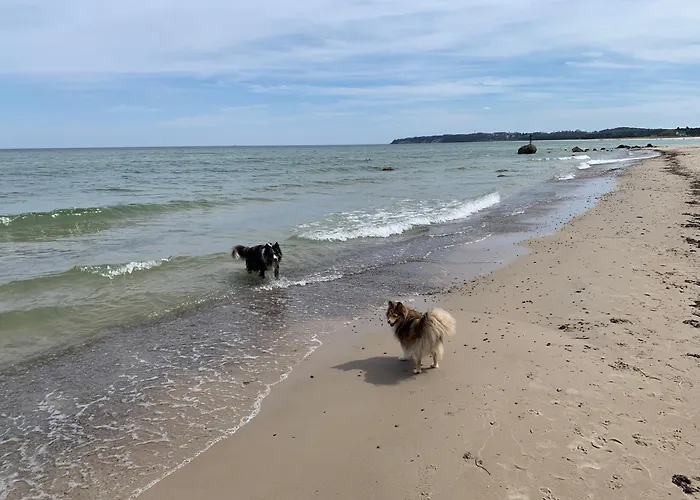 Ferienwohnungen Göhren Urlaub mit Hund