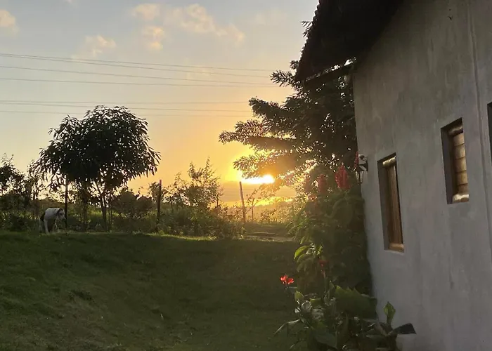 Chales Samambaia Bananeiras com piscina