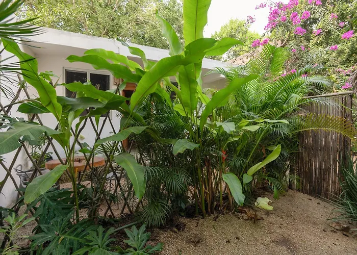 Apartamento Huaya Camp Tulum