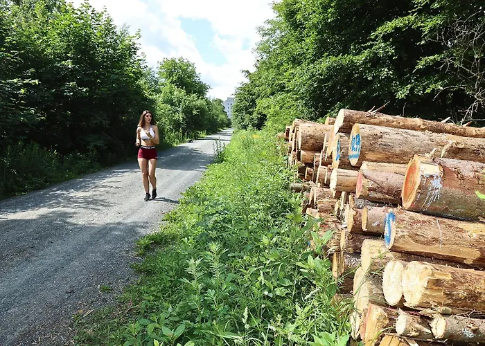 Carea Residenz Hotel Harzhoehe Goslar