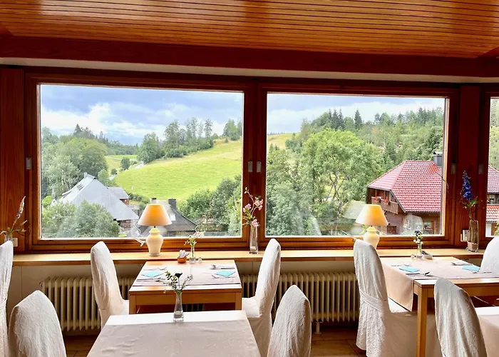 Hinterzarten Downtown Hotels