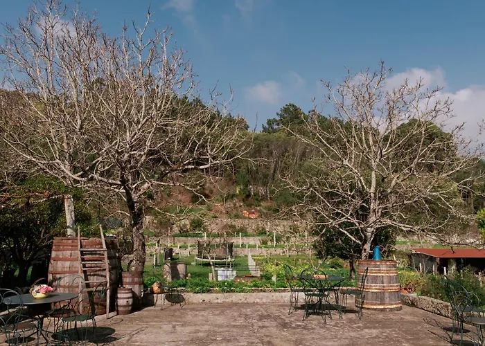 Quinta Da Quinhas Vila Vila Praia de Âncora aceita animais de estimação