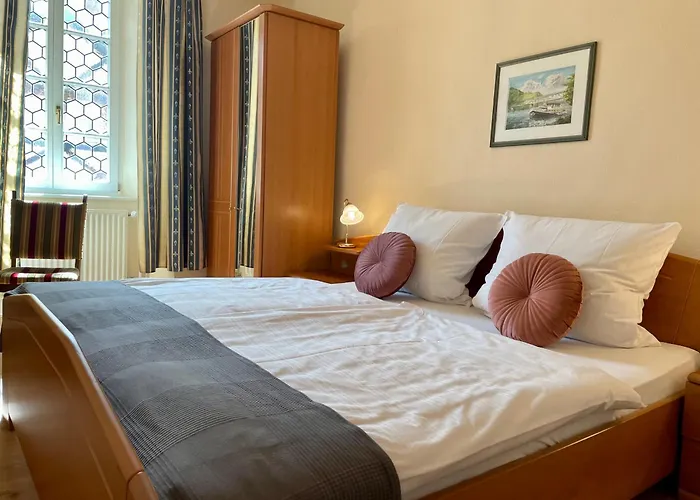 Huisdiervriedelijke Hotel Schloss Zell