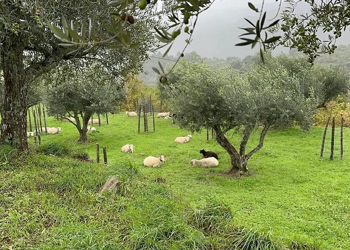 Boutique Quinta Da Moita Agroturismo Tabuaço