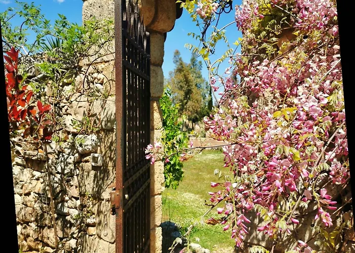 B&B Borgo del Gallo Tricase