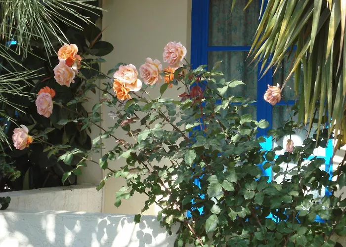 Creta Sun Hotel Studios Agia Pelagia 