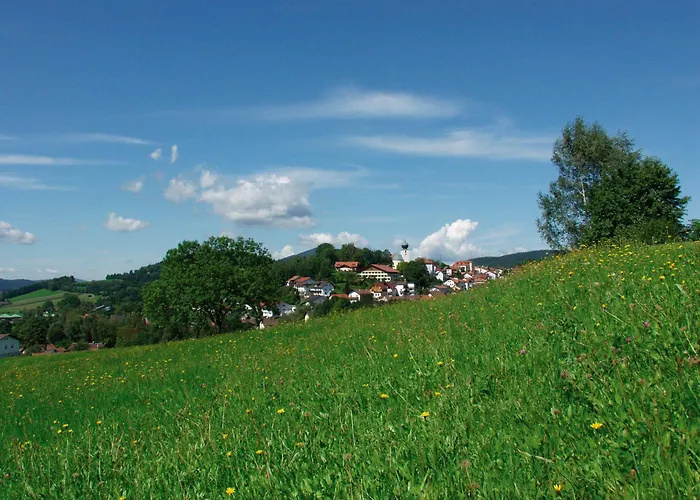 Haustierfreundliches Hotel zur Post Lam
