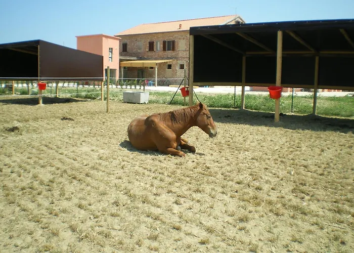 Affittacamere Conero Ranch Porto Recanati