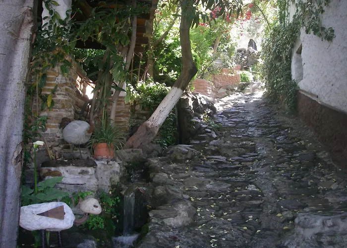 Alojamiento Rural El Brazal Lanjarón