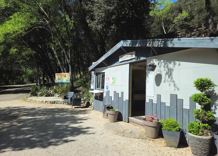 Camp Des Gorges - Camping Nature Vallon-Pont-dʼArc