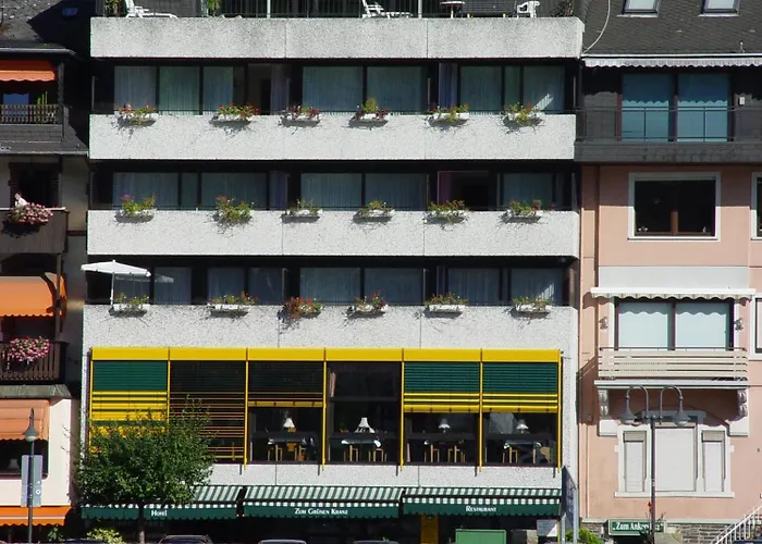 Huisdiervriedelijke Hotel Zum Gruenen Kranz Zell