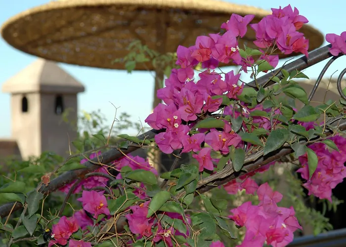 Riad Mehdia & Spa