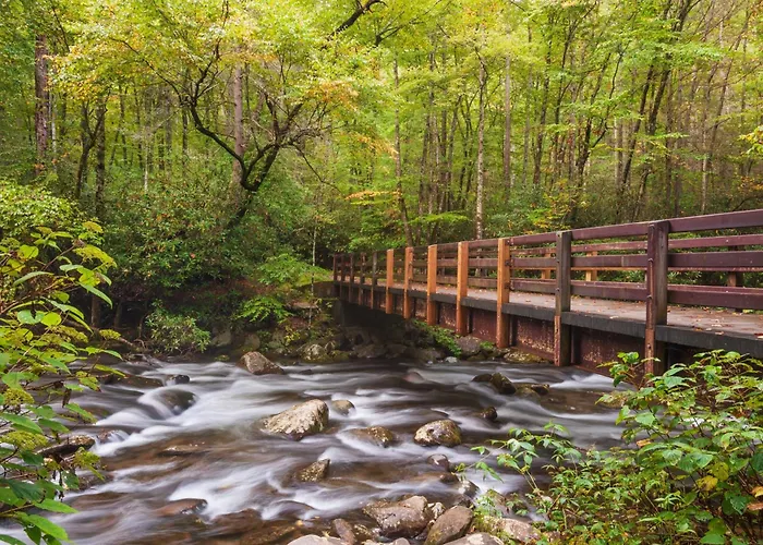 Lazy Bear Lodge, Hot Tub, Resort Pool, Wifi, 1089 Free Tickets Each Paid Day, Dollywood And More Gatlinburg