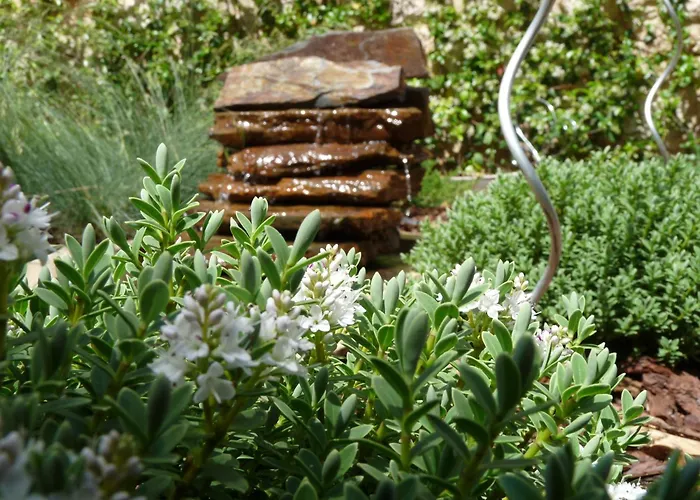 Eco Hotel Boutique & Spa Capitulo Trece - Adults Only Maderuelo