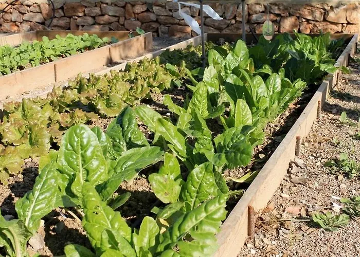 Centro de Agroecologia y Medio Ambiente de Murcia Bullas