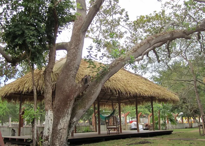 Hostel Pousada do Tapajós Alter do Chão que aceita animais de estimação