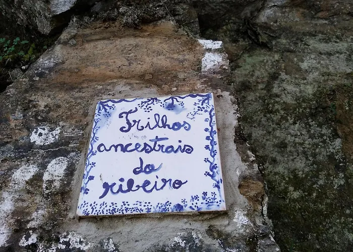 Casa Da Quinta Do Porto Vila Lamego aceita animais de estimação