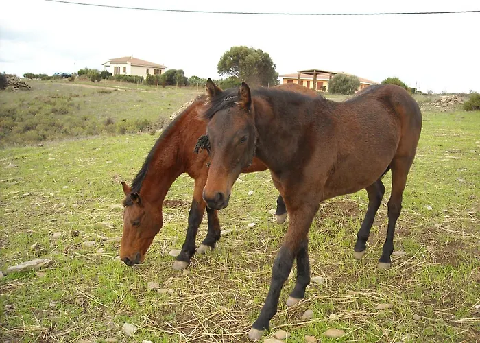 Agriturismo Depalmas