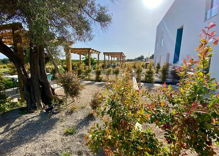 Tavira-Quinta Da Janela Azul