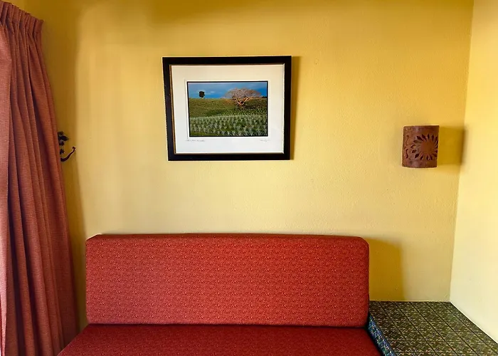 Siesta Suites Boutique Hotel Cabo San Lucas
