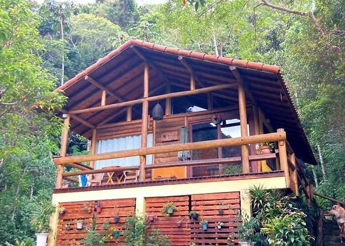 Chales Bamboo Jungle