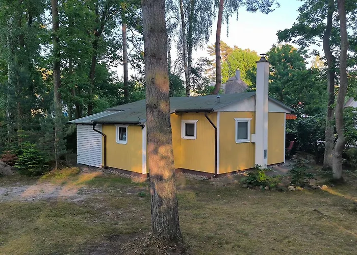 Ferienhaus Am Dünenwald