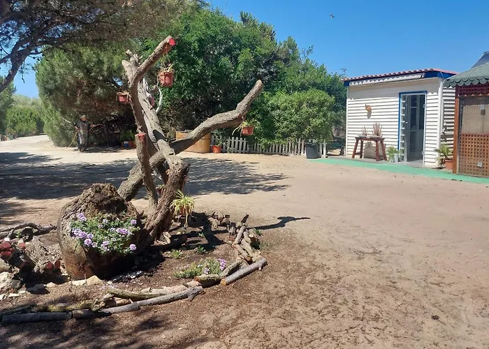 En Finca Las Dunas Dos Chalets Con Jacuzzis En Primera Linea De Playa , Uno De 4 Dormitorios Y Otro De 2 Dormitorios, Llama Al Seiscientos Veintisiete Cuatrocientos Diecisiete Trescientos Noventa Y Ocho Rota