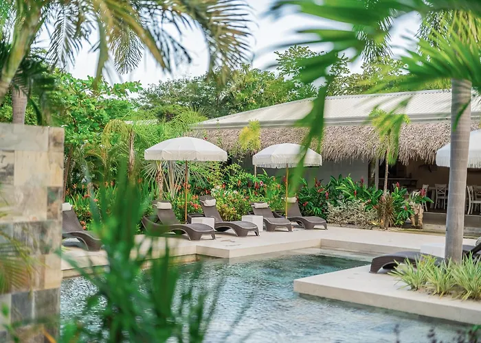 Les Voiles Blanches - Luxury Lodge&SPA Tamarindo acceptant les animaux