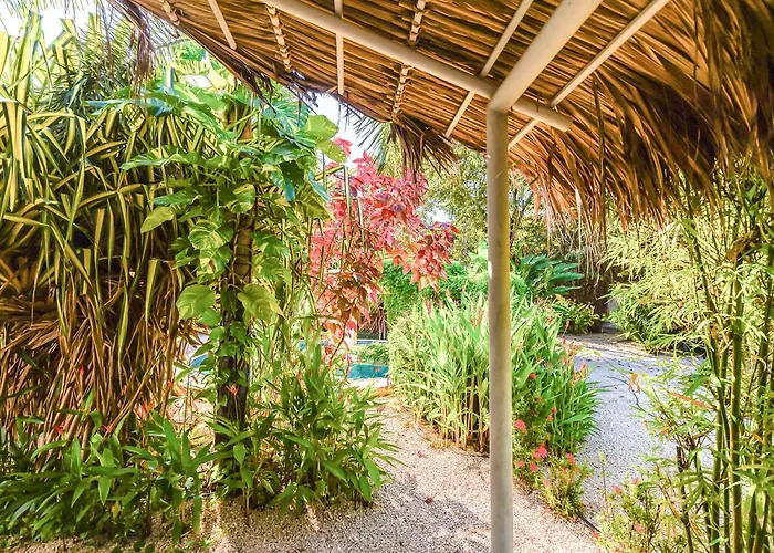 Les Voiles Blanches - Luxury Lodge&SPA Tamarindo acceptant les animaux
