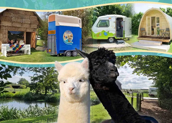Minicamping Aan de Waterspiegel Aagtekerke