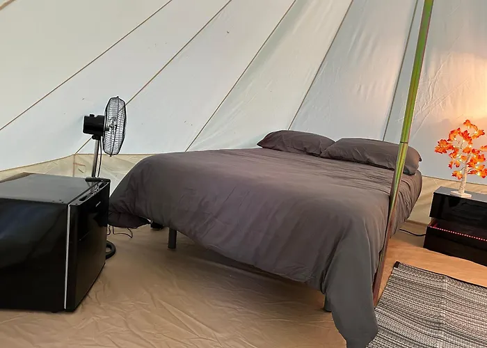 Camping Ripolles admite animales