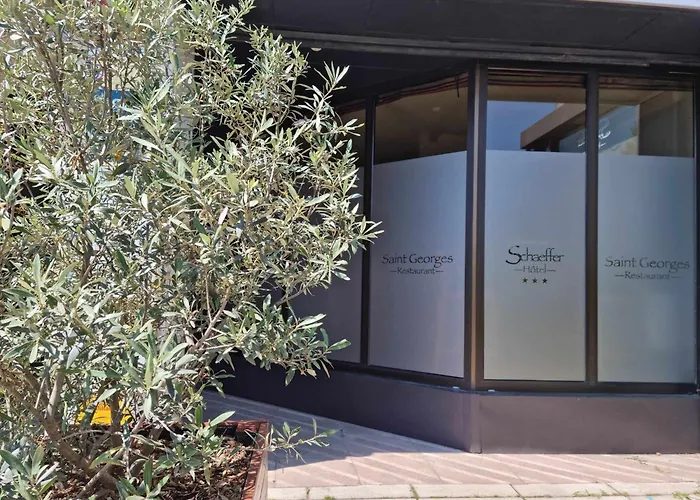 Logis Hotel Schaeffer- Restaurant Le Saint Georges Serrières-en-Chautagne