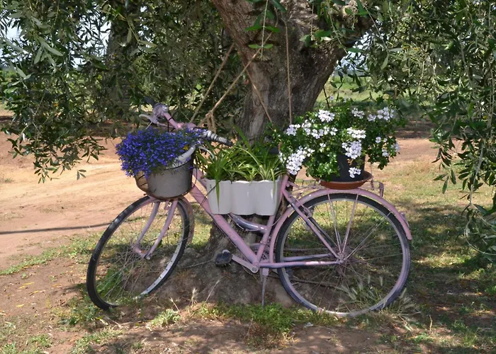 Hotel La Mimosa Bolgheri