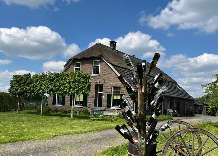 Boetiek Erve Zonnehoeve B&B en Wijngaard Vorden