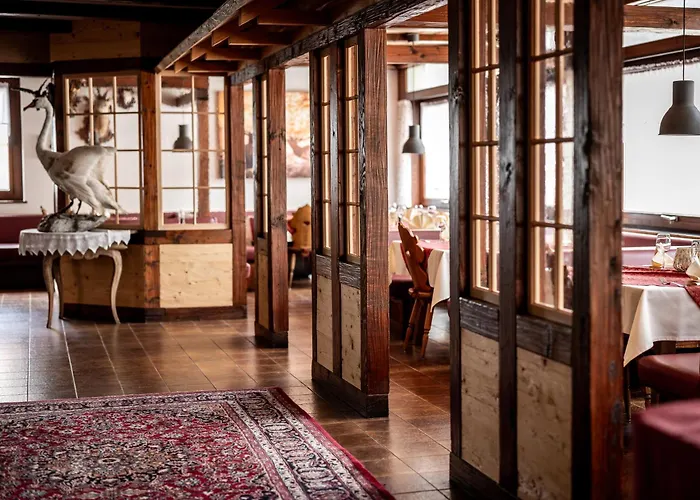 Huisdiervriedelijke Hotel Engel Mellau