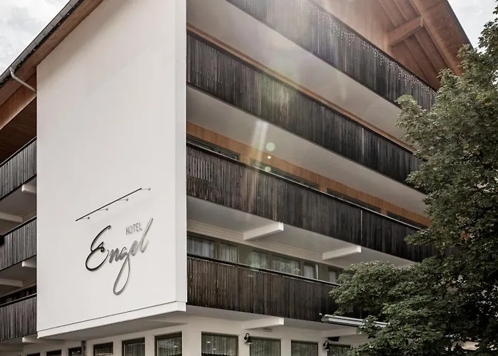 Huisdiervriedelijke Hotel Engel Mellau