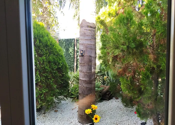 Apartamento Abba Sevilla admite animales